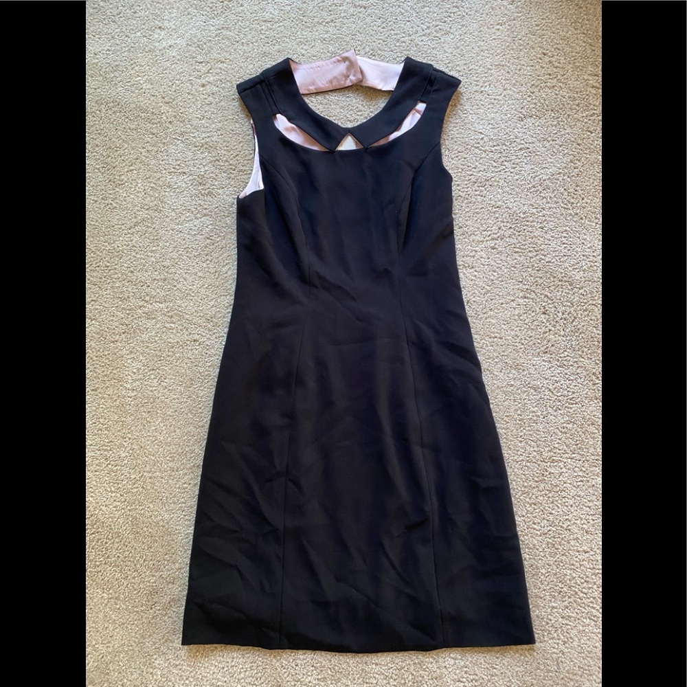 Anthropologie pencil dress size 2